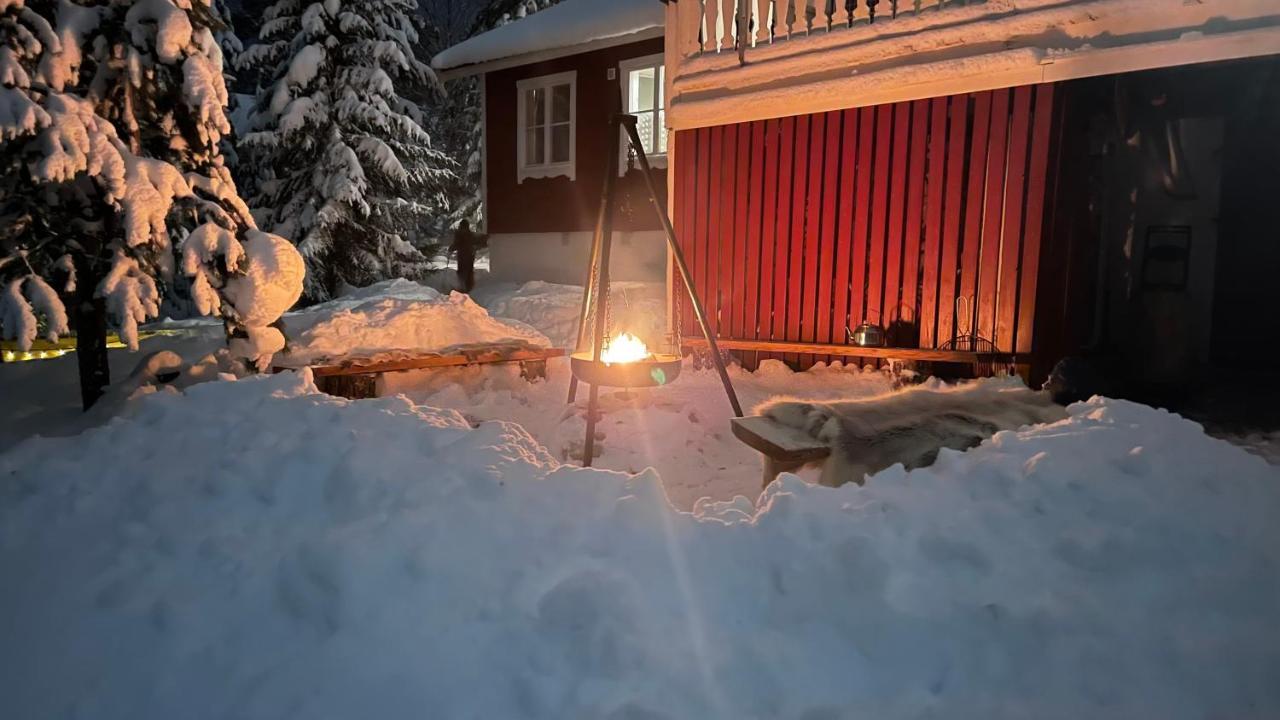 Mountain Cabin 로프스달렌 외부 사진