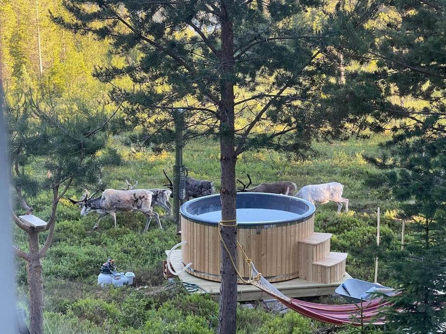 Mountain Cabin 로프스달렌 외부 사진