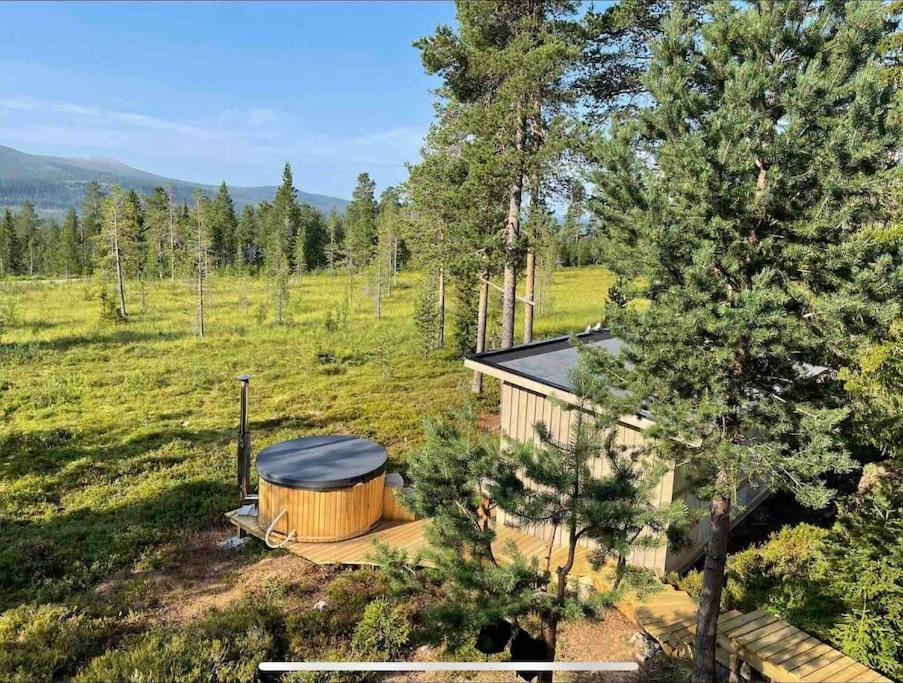 Mountain Cabin 로프스달렌 외부 사진