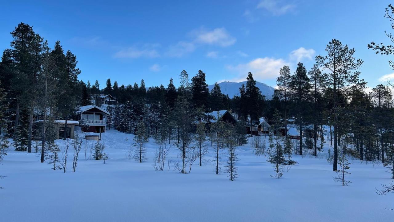 Mountain Cabin 로프스달렌 외부 사진