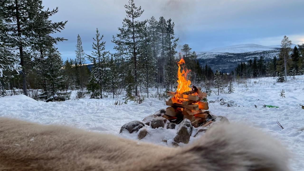 Mountain Cabin 로프스달렌 외부 사진
